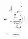 Fig. 40 - Polynucleotide for improving protein production in microorganisms of the phylum labyrinthulomycota