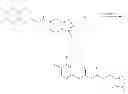 Fig. 17 - Immobilized transaminases and process for making and using immobilized transaminase