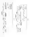 Fig. 07 - Method for synthesizing FDCA and derivates thereof