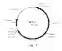 Fig. 16 - Manipulation of genes of the mevalonate and isoprenoid pathways to create novel traits in transgenic organisms