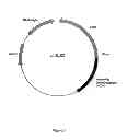 Fig. 04 - Reducing Carbon Dioxide Production and Increasing Ethanol Yield During Microbial Ethanol Fermentation