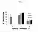 Fig. 04 - Methods and compositions for high efficiency transfection of siRNA