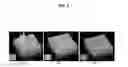 Fig. 05 - Methods and compositions for high efficiency transfection of siRNA