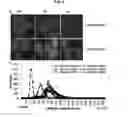 Fig. 10 - Methods and compositions for high efficiency transfection of siRNA