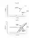 Fig. 24 - RNase H-based assays utilizing modified RNA monomers