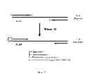 Fig. 30 - RNase H-based assays utilizing modified RNA monomers