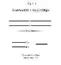 Fig. 44 - RNase H-based assays utilizing modified RNA monomers