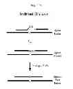 Fig. 45 - RNase H-based assays utilizing modified RNA monomers