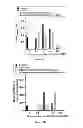 Fig. 03 - Use of at least one chelating agent introduced into the culture medium of magnetotactic bacteria in order to stimulate the growth thereof