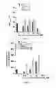 Fig. 05 - Use of at least one chelating agent introduced into the culture medium of magnetotactic bacteria in order to stimulate the growth thereof