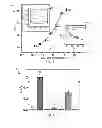 Fig. 05 - Bioaffinity sensors based on surface monolayers