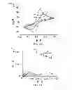 Fig. 12 - Bioaffinity sensors based on surface monolayers