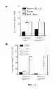 Fig. 10 - METHODS AND COMPOSITIONS FOR LONG TERM HEMATOPOIETIC REPOPULATION