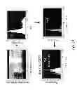 Fig. 14 - METHODS AND COMPOSITIONS FOR LONG TERM HEMATOPOIETIC REPOPULATION