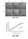 Fig. 13 - METHODS OF ISOLATING CELLS