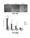 Fig. 17 - METHODS OF ISOLATING CELLS