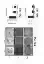 Fig. 18 - METHODS OF ISOLATING CELLS