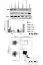 Fig. 20 - METHODS OF ISOLATING CELLS