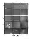 Fig. 24 - METHODS OF ISOLATING CELLS