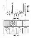 Fig. 25 - METHODS OF ISOLATING CELLS