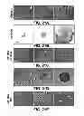 Fig. 27 - METHODS OF ISOLATING CELLS