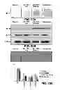 Fig. 28 - METHODS OF ISOLATING CELLS
