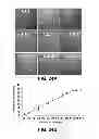 Fig. 30 - METHODS OF ISOLATING CELLS