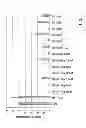 Fig. 05 - Compositions and methods for inhibiting expression of a target gene