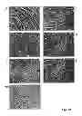 Fig. 13 - Compositions and methods for inhibiting expression of a target gene