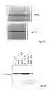 Fig. 16 - Compositions and methods for inhibiting expression of a target gene
