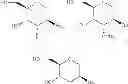 Fig. 20 - Substituted 2′-thio-bicyclic nucleosides and oligomeric compounds prepared therefrom