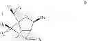 Fig. 53 - Substituted 2′-thio-bicyclic nucleosides and oligomeric compounds prepared therefrom
