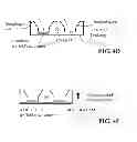Fig. 06 - Intra-culture perfusion methods and applications thereof