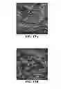 Fig. 16 - Intra-culture perfusion methods and applications thereof