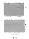 Fig. 07 - Conjugative plasmids and methods of use thereof