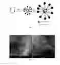 Fig. 03 - Luminescent nanosystems