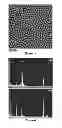 Fig. 06 - Nanoparticle Plasmonic Sensor for Localized Surface Plasmon Resonance