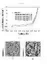 Fig. 07 - Method of fabricating patterned substrate