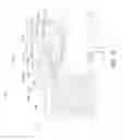 Fig. 51 - Coaxial cable connector having electrical continuity member