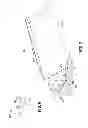 Fig. 06 - Electrical contact pins for electrically coupling electronic devices, batteries, and/or battery chargers