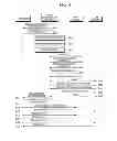 Fig. 06 - Proxy communication system and proxy communication system controlling method in BAN environment