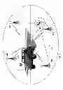 Fig. 04 - Automatic identification of a vehicle driver based on driving behavior