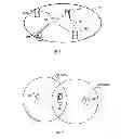 Fig. 02 - Apparatus and method for use in a communication network