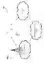 Fig. 04 - Method and apparatus for facilitating a beacon-assisted handover to a home node-B for users on an active call