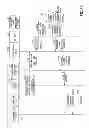 Fig. 33 - Apparatus, method, and computer-readable recording medium for distributing position data