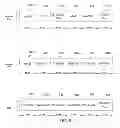 Fig. 10 - Method and apparatus for enabling coexistence of plurality of communication technologies on communication device