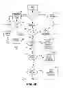Fig. 19 - Electronic Network, Multi-Player Crosswords Game, And Method