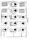 Fig. 03 - Electronic video poker games
