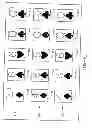 Fig. 10 - Electronic video poker games
