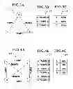 Fig. 06 - Gaming system, gaming device and method for providing an outcome enhancing feature
